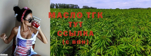 спиды Новодвинск