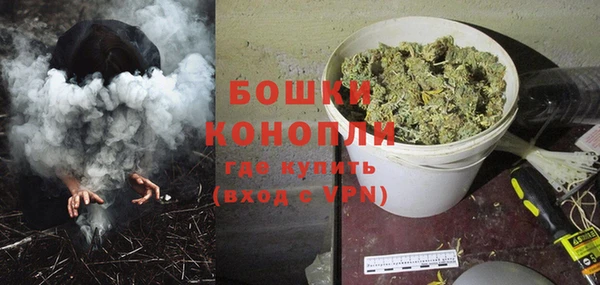 спиды Новодвинск