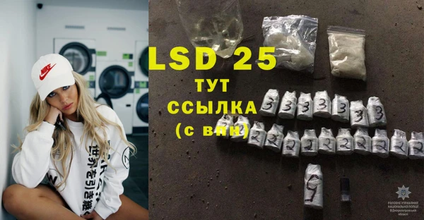 спиды Новодвинск