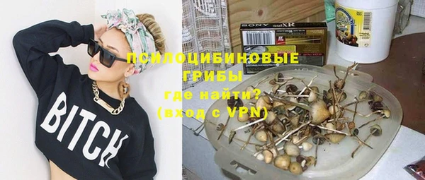 дурь Новозыбков