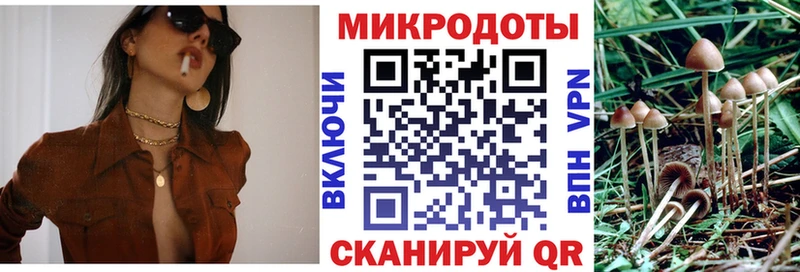 Псилоцибиновые грибы ЛСД  купить   Приморско-Ахтарск 