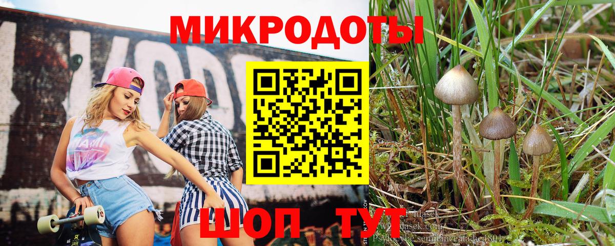 Псилоцибиновые грибы Psilocybe Приморско-Ахтарск