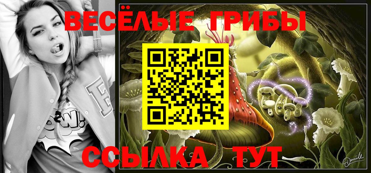 Псилоцибиновые грибы Magic Shrooms  Приморско-Ахтарск 