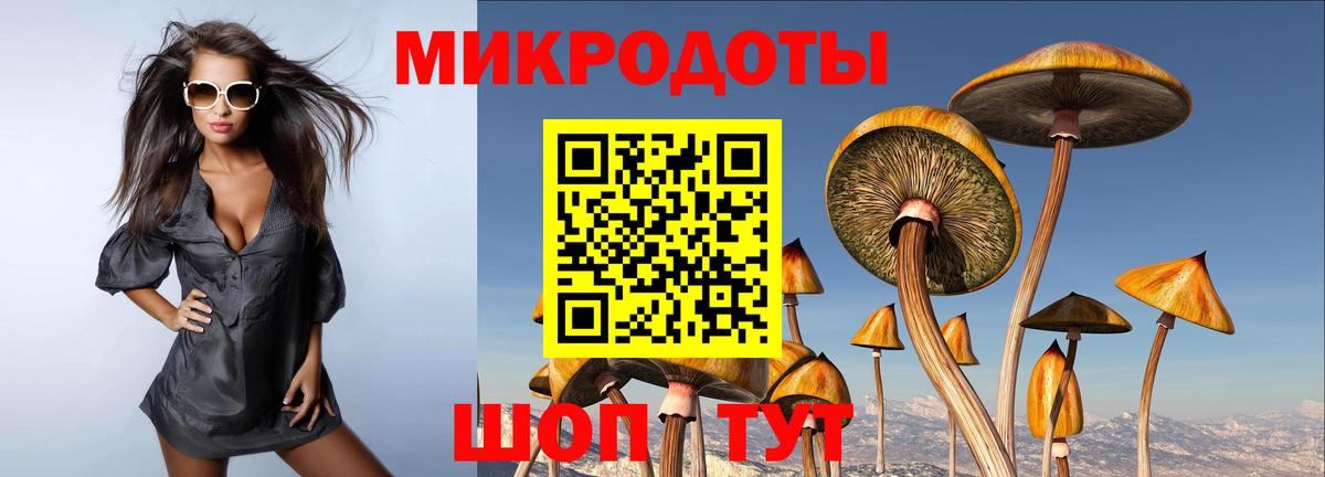 Псилоцибиновые грибы Cubensis  Вход с VPN  Приморско-Ахтарск 